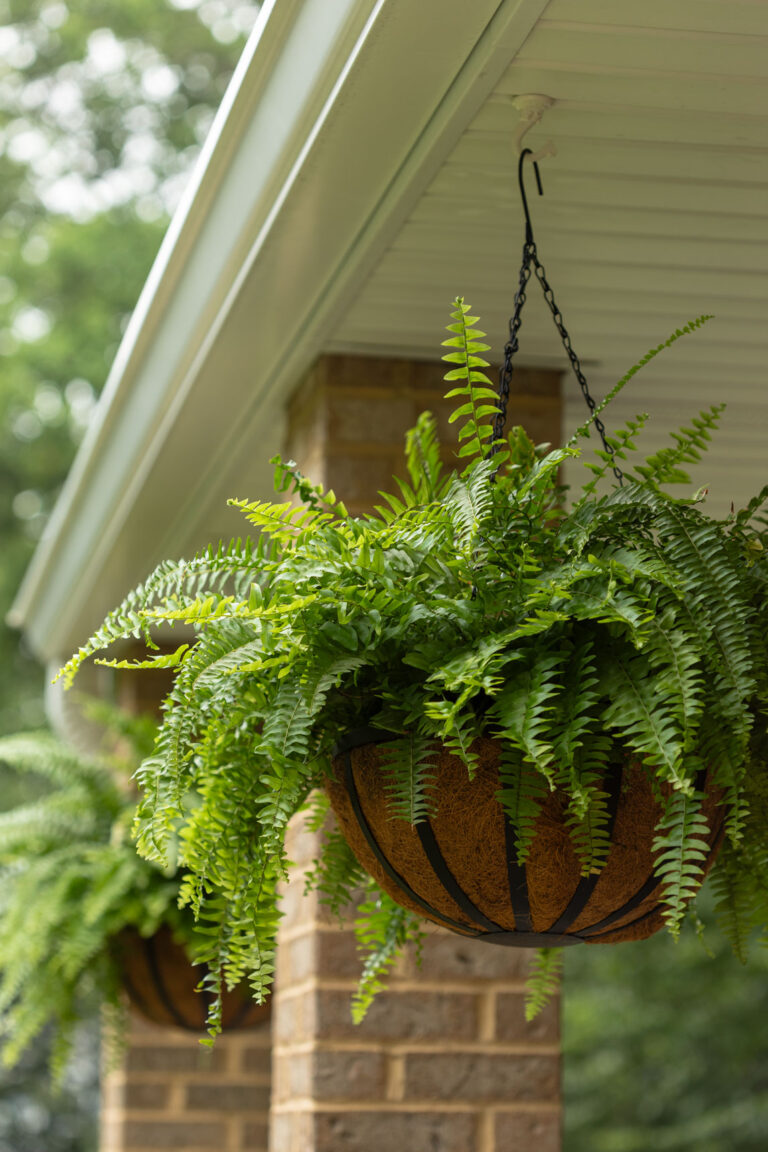 How to Paint Hanging Baskets Kippi at Home